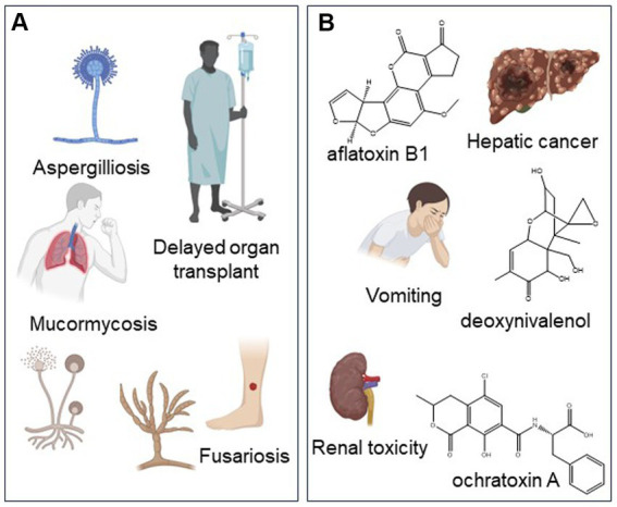 PMC10620813 – fig3