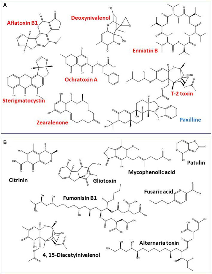 PMC10620813 – fig4