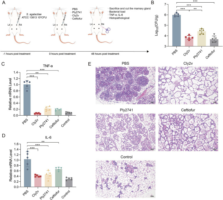 PMC11527626 – fig4
