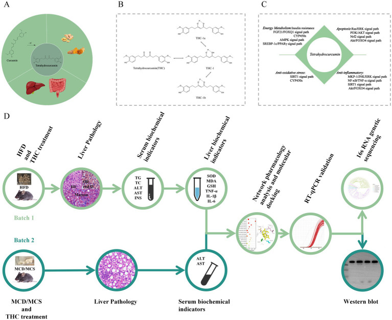 PMC12210073 – fig1