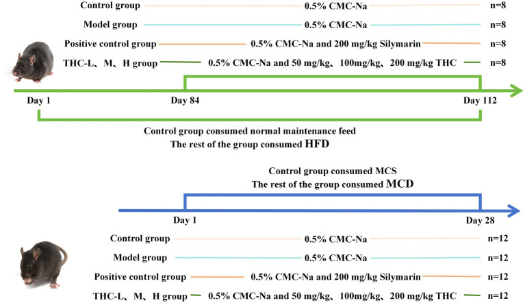 PMC12210073 – fig2