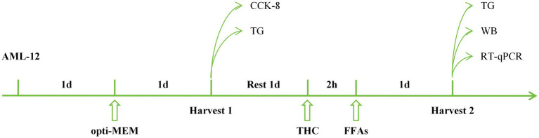 PMC12210073 – fig3