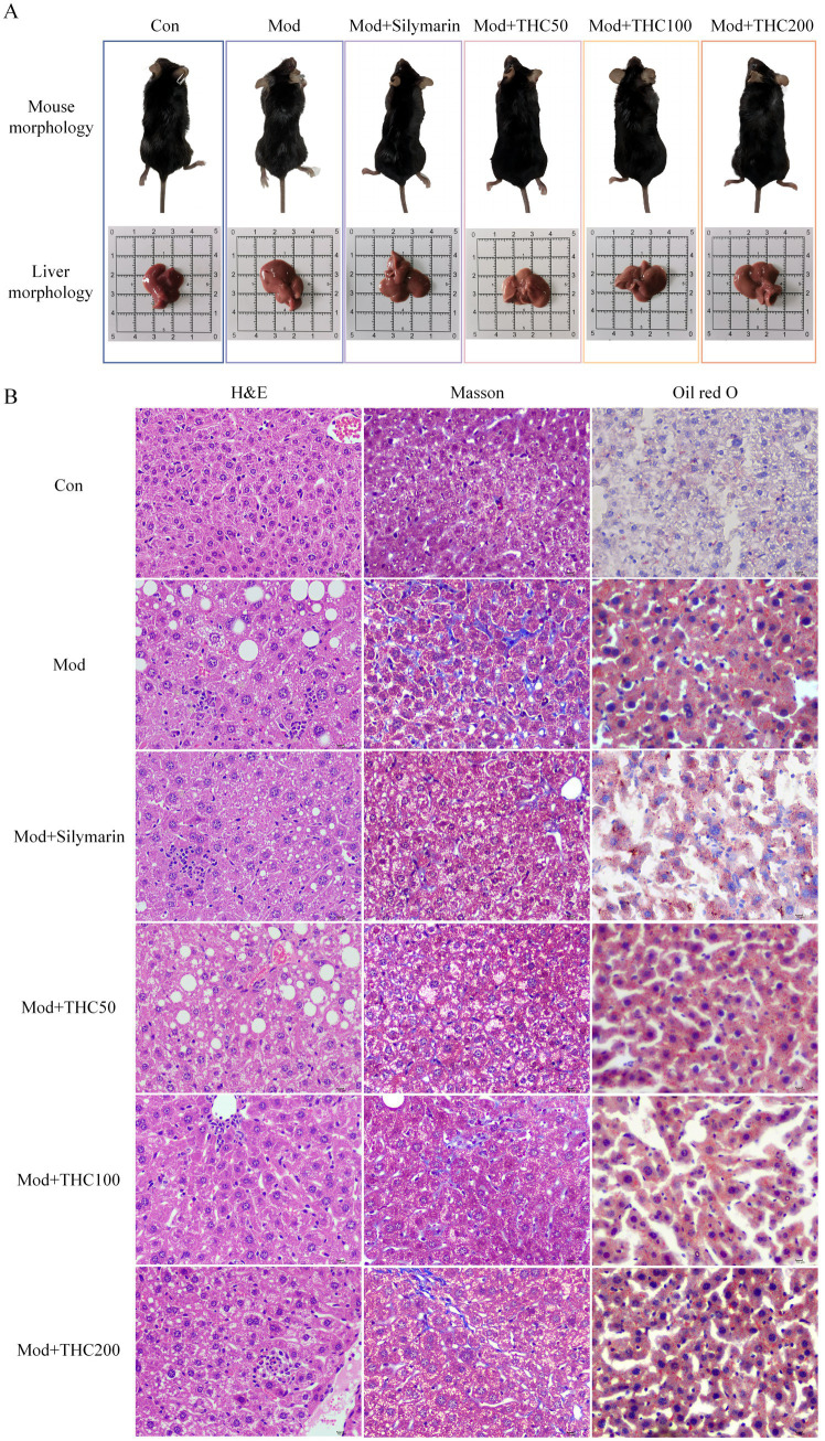 PMC12210073 – fig4