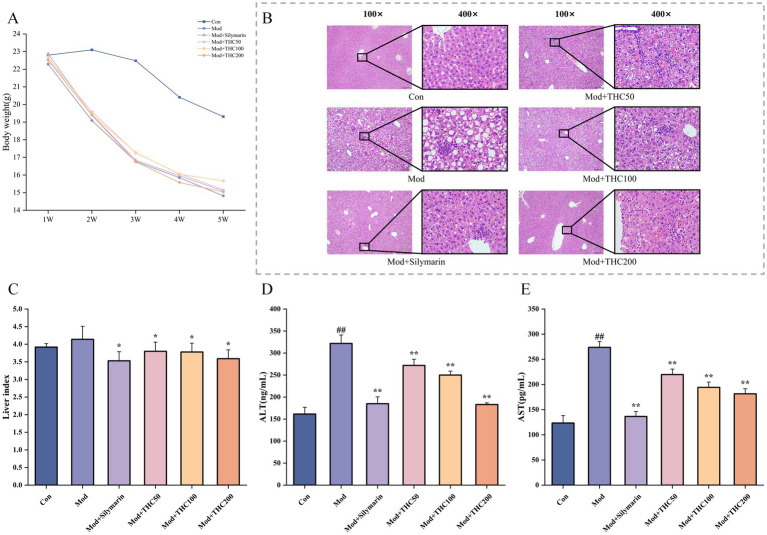 PMC12210073 – fig6