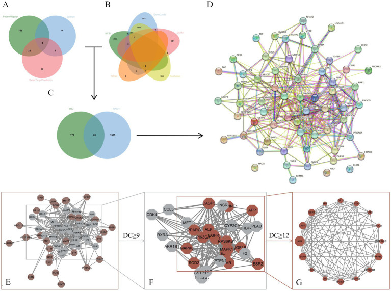 PMC12210073 – fig8