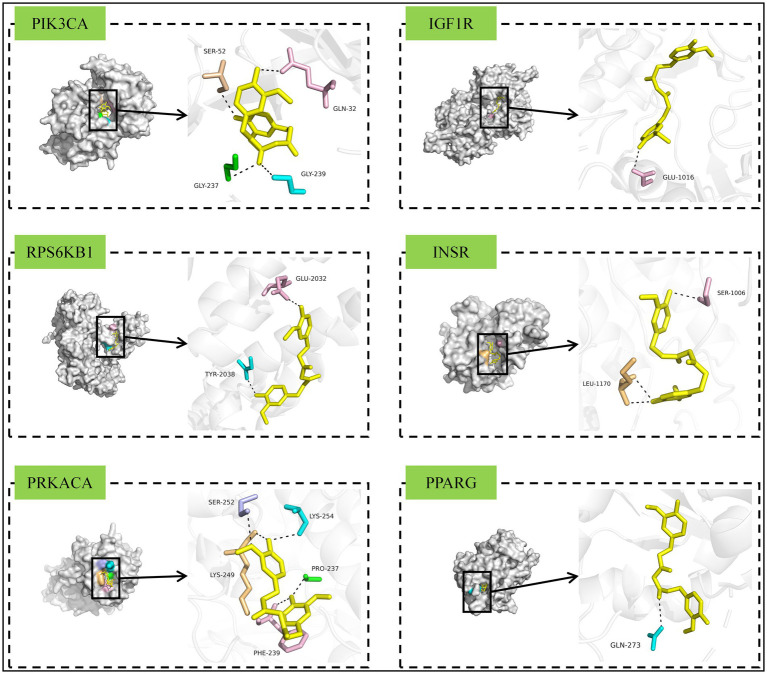PMC12210073 – fig10