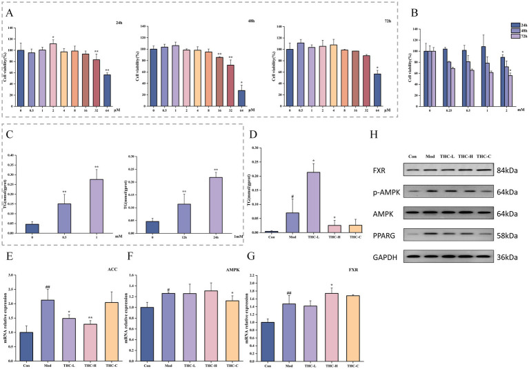 PMC12210073 – fig12