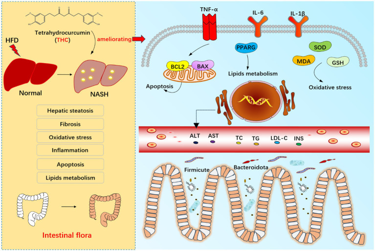 PMC12210073 – fig16