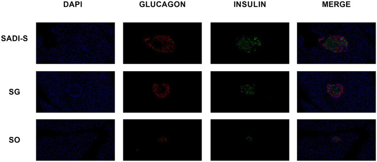 PMC12528041 – fig2
