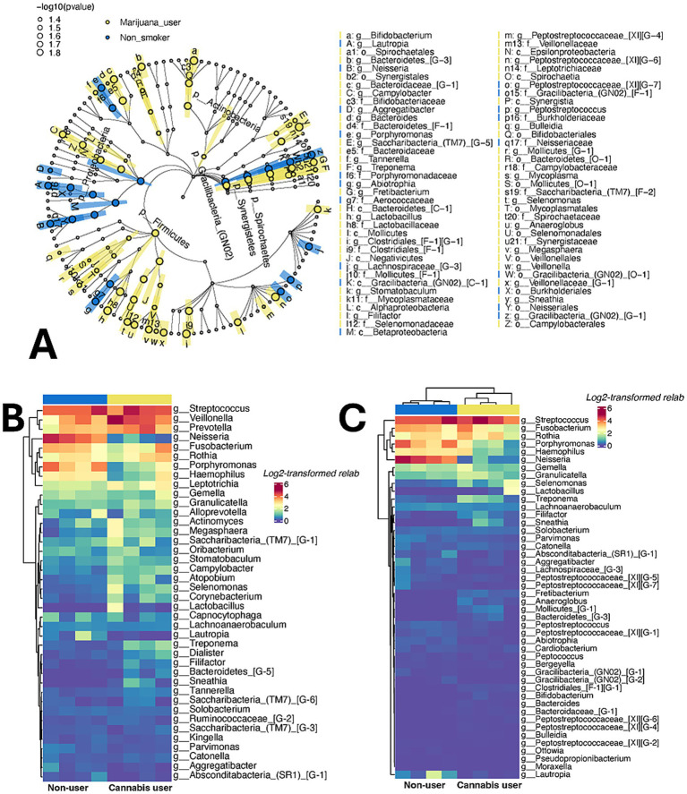 PMC12812963 – fig1