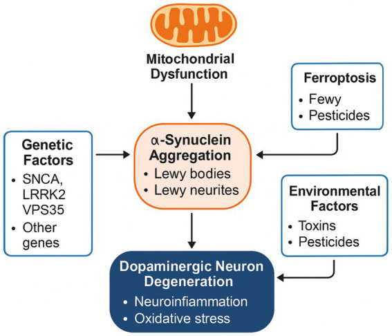 PMC12488584 – fig1