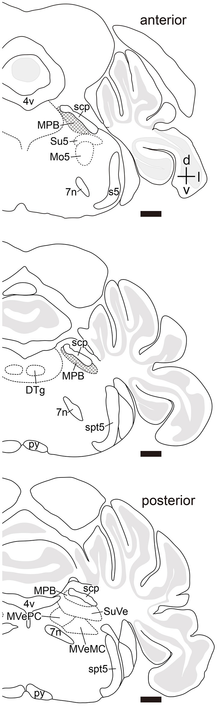 PMC5808303 – F2
