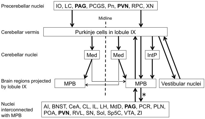 PMC5808303 – F12