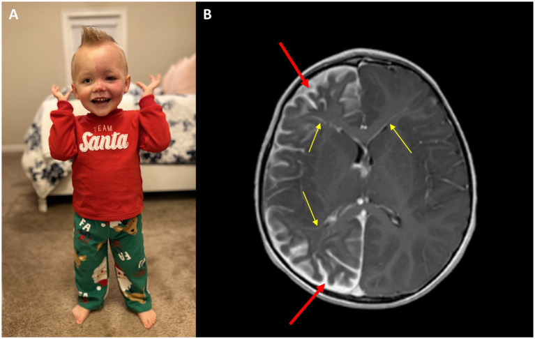 PMC11646805 – fig1