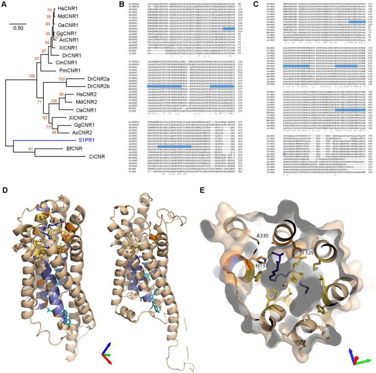 PMC10894036 – fig6