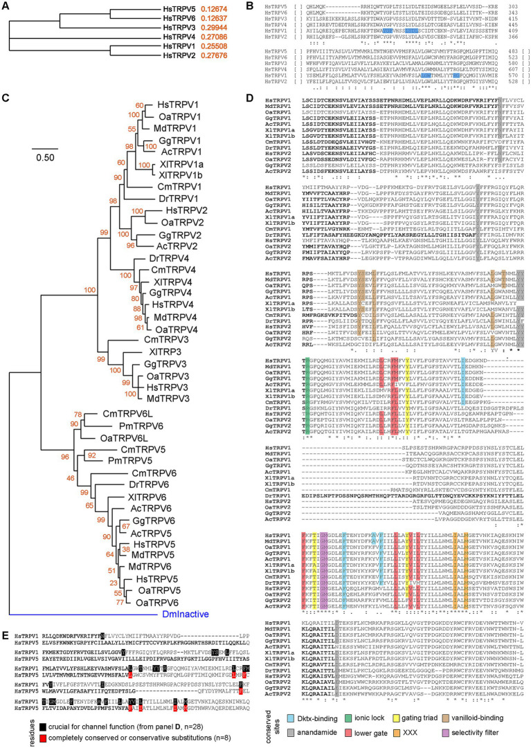 PMC10894036 – fig7