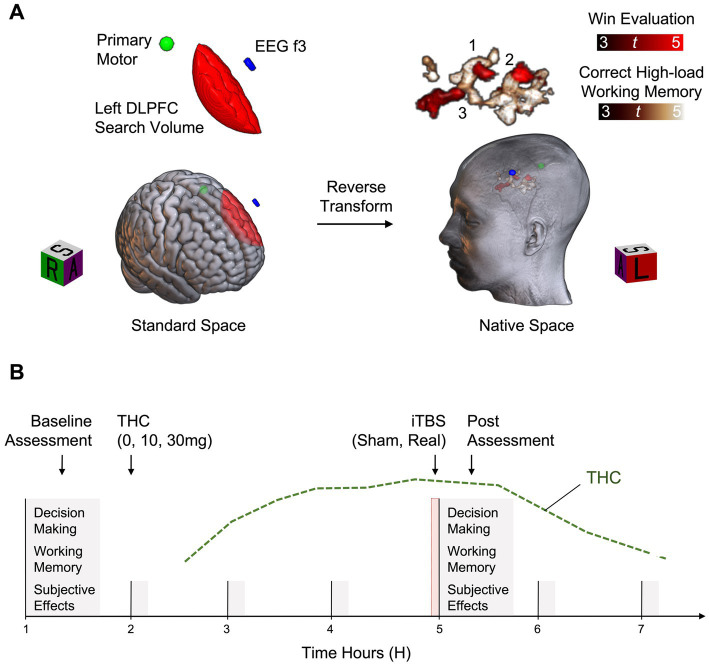 PMC10405288 – fig2