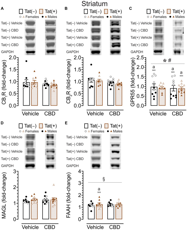 PMC10949733 – fig6