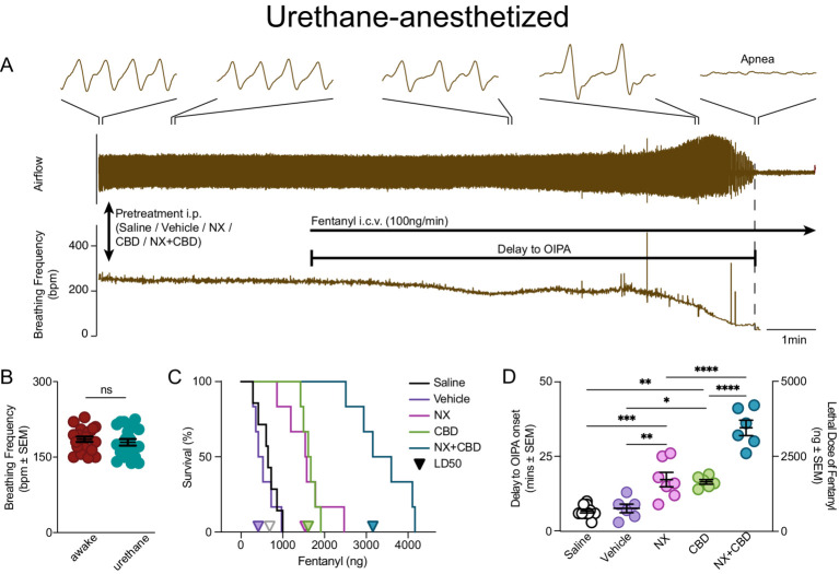 PMC12540426 – fig2
