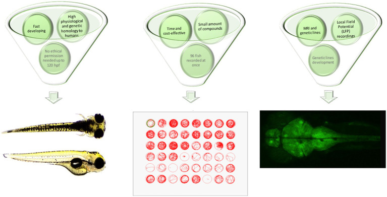 PMC10493295 – fig1
