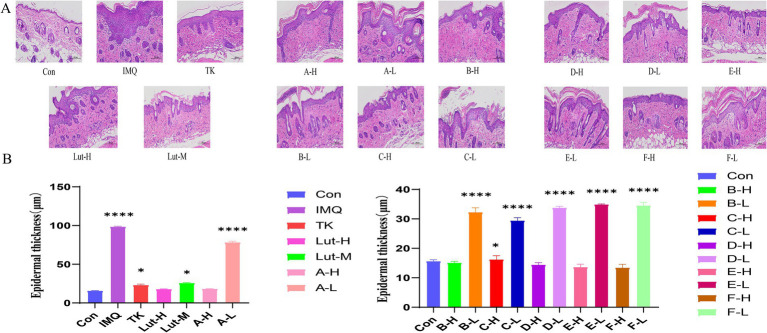 PMC11936824 – fig3