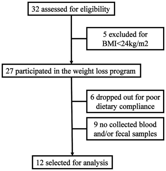 PMC12643879 – fig1
