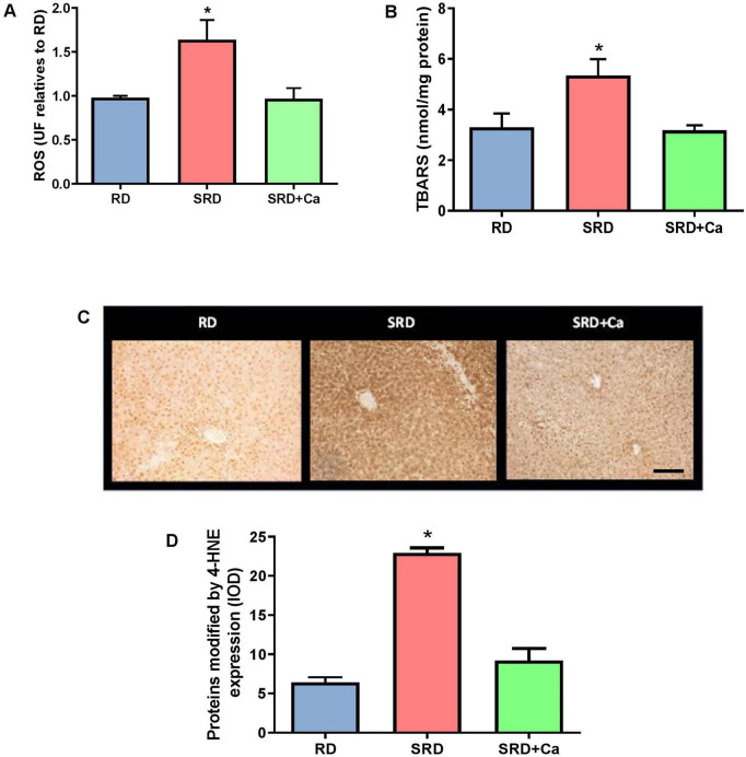 PMC13008911 – F1