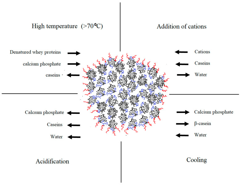 PMC7466366 – foods-09-01128-f001