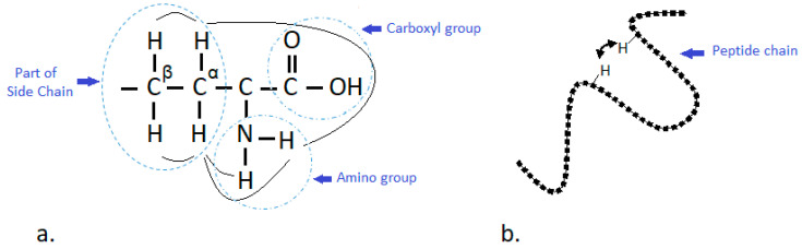 PMC7466366 – foods-09-01128-f002