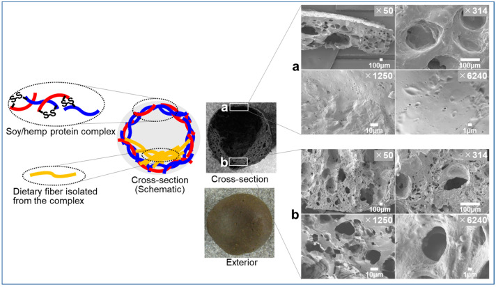 PMC9913960 – foods-12-00651-f003