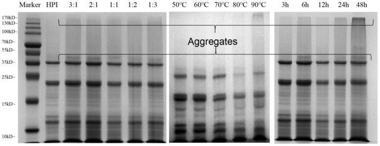 PMC10093956 – foods-12-01416-f002