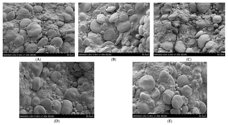 PMC10178187 – foods-12-01774-f003