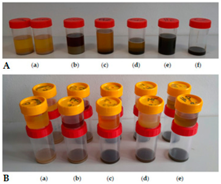 PMC10573014 – foods-12-03636-f002