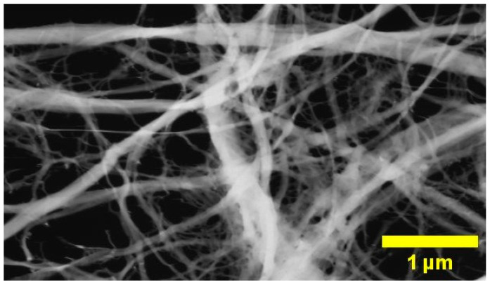 PMC10670575 – foods-12-04136-f001