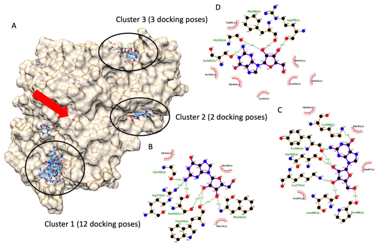 PMC10778124 – foods-13-00055-f006