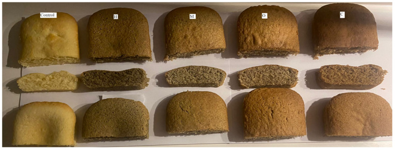 PMC10969596 – foods-13-00964-f001