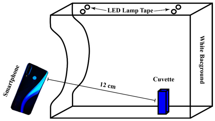 PMC11172301 – foods-13-01700-f001