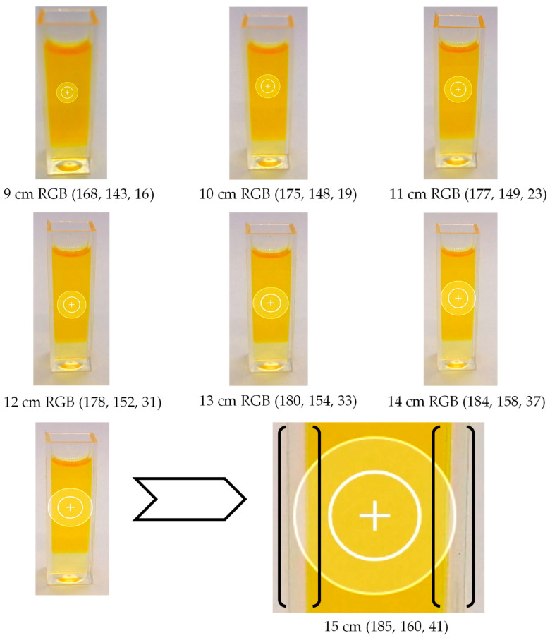 PMC11172301 – foods-13-01700-f006