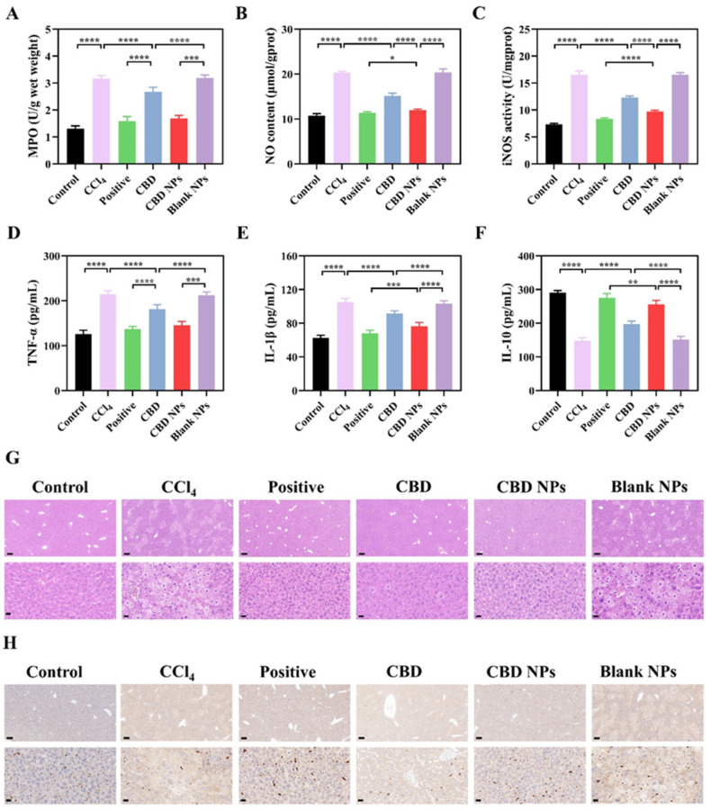 PMC11311329 – foods-13-02464-f009