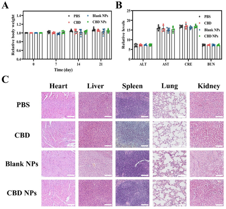 PMC11311329 – foods-13-02464-f010