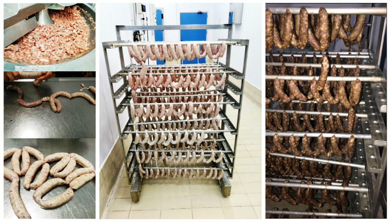 PMC11353665 – foods-13-02584-f001