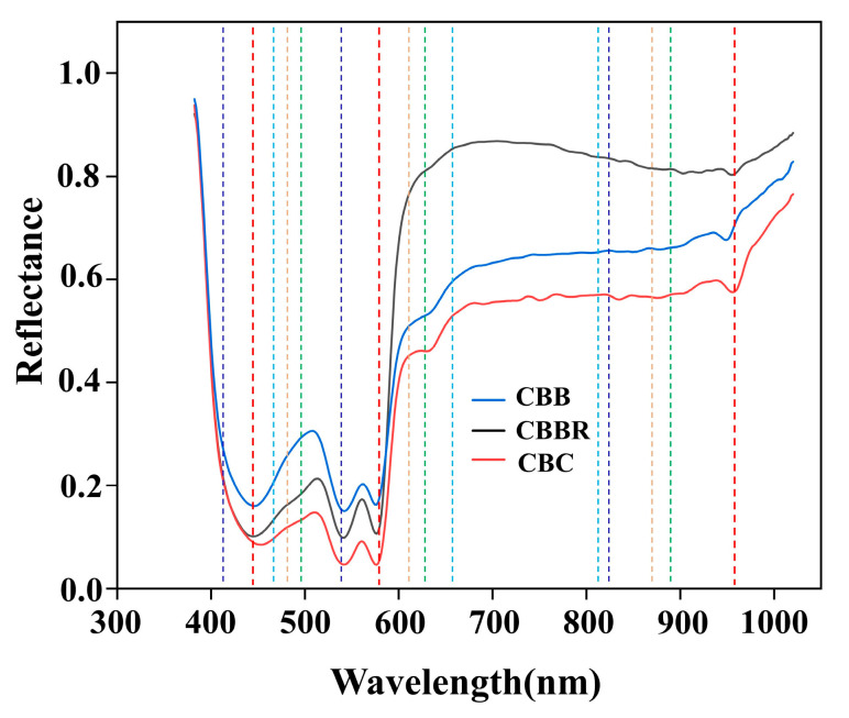 PMC11639837 – foods-13-03745-f007