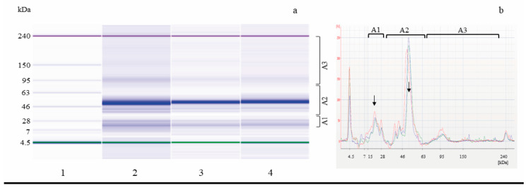 PMC11817117 – foods-14-00469-f002