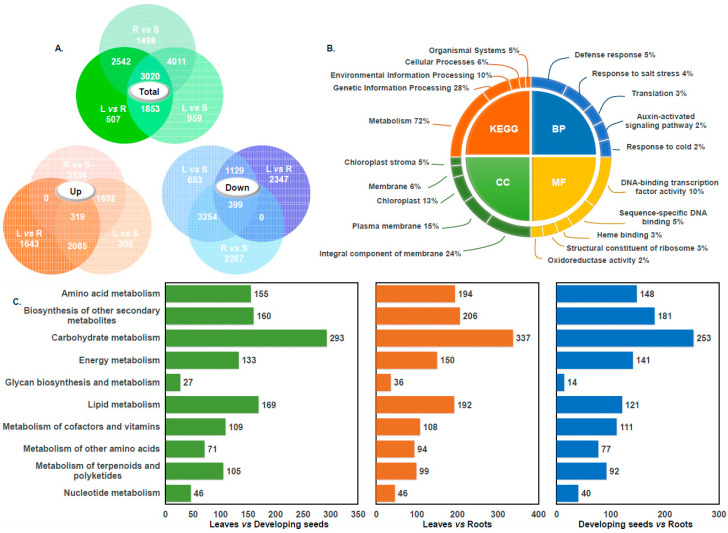 PMC12385353 – foods-14-02809-f001