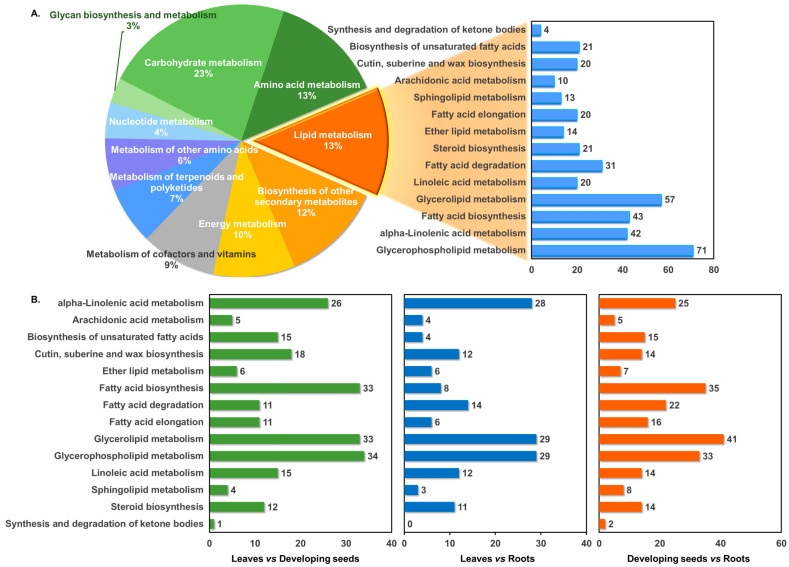 PMC12385353 – foods-14-02809-f002