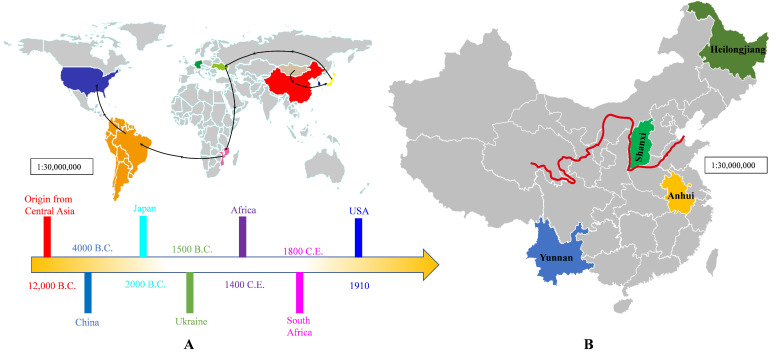 PMC12385636 – foods-14-02830-f001