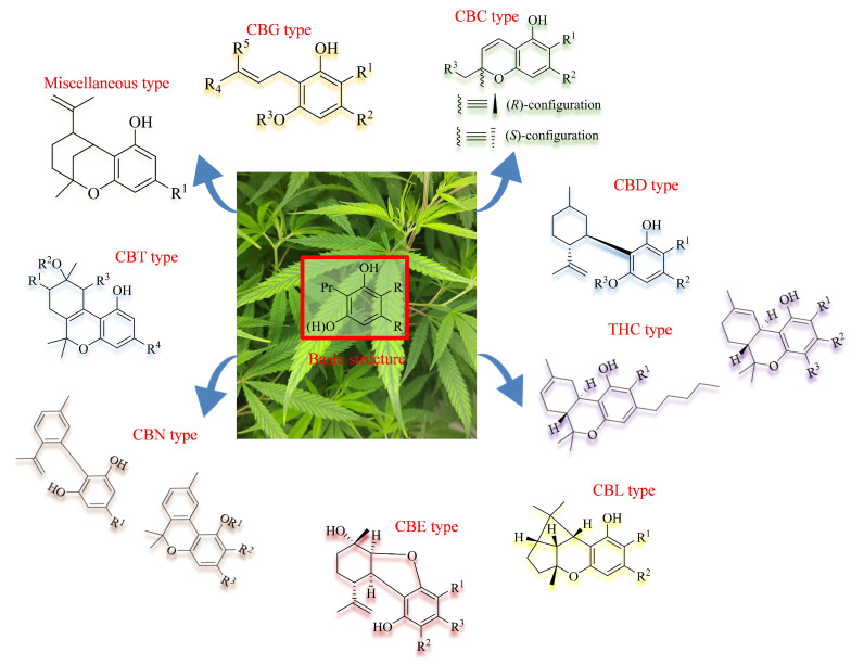 PMC12385636 – foods-14-02830-f002