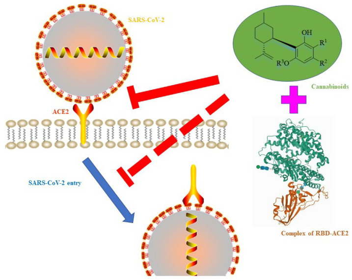 PMC12385636 – foods-14-02830-f003