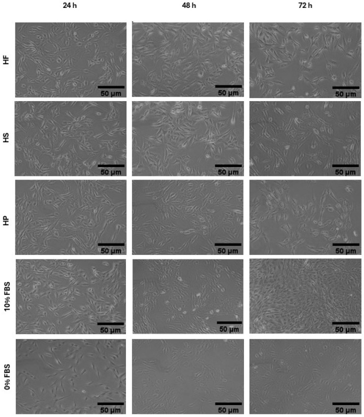 PMC12840615 – foods-15-00352-f003
