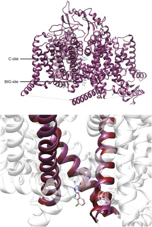 PMC12491271 – F3